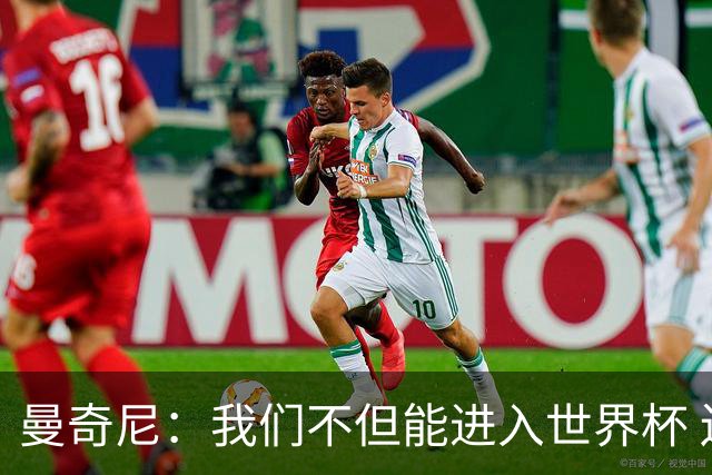曼奇尼：我们不但能进入世界杯 还能赢得冠军